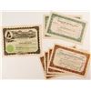 Image 1 : Goldfield Nevada Mining Stock Certificates (7)