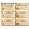 Image 1 : Manhattan Treadwell Gold Mining Stock Certificates (6)