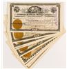 Image 1 : Nine Goldfield Mining Stock Certificates