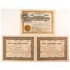 Image 1 : Three Goldfield/Florence Mining Stock Certificates