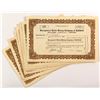 Image 1 : Reorganized Booth Mining Company of Goldfield Stock Certificates (12)