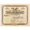 Image 1 : Gold Circle Queen Mining Co. Stock Certificate