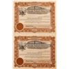 Image 1 : Nevada Packard Mines Co. Stock Pair