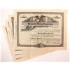 Image 1 : Paramount Mining Corporation Stock Certificates (4)