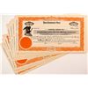 Image 1 : Sunnyside Lead-Silver Mining Company Stock Certificates (22)