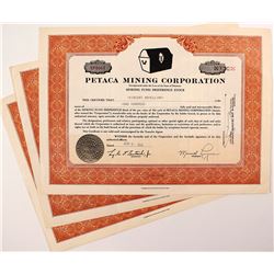 Petaca Mining Corporation Stock Certificate