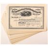 Image 1 : New Foundland Gold Mining Company Stock Certificates (34)