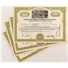 Image 1 : United States Milling and Minerals Corporation Certificates (18)