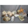 Image 1 : Two tray lots of collectibles sea shells etc.