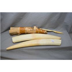 Pair of walrus tusks, one 18" in length, one 19", note newspaper wrapper dated 1962, and a tusk knif