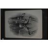 Image 1 : Pair of framed prints "Big Buck" and "Bull and Cow Moose", pencil signed by artist Dallen Lambson