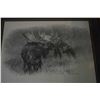 Image 3 : Pair of framed prints "Big Buck" and "Bull and Cow Moose", pencil signed by artist Dallen Lambson