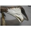 Image 2 : Two part antler carving with flying eagle and two small eagles on base, 19" wing span