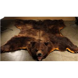 Large Bear Rug
