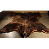 Image 1 : Large Bear Rug