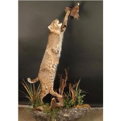 Full Mount Bobcat