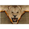 Image 1 : White African Lion Rug