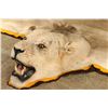 Image 3 : White African Lion Rug
