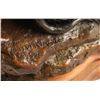 Image 4 : Fine Art Colored Bronze