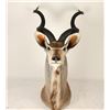 Image 1 : Shoulder Mounted African Kudu