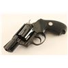 Image 3 : Colt Detective Special .38 Spl SN: 7537RD