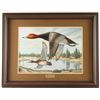 Image 2 : Original Oil by William Moore for Ducks Unlimited