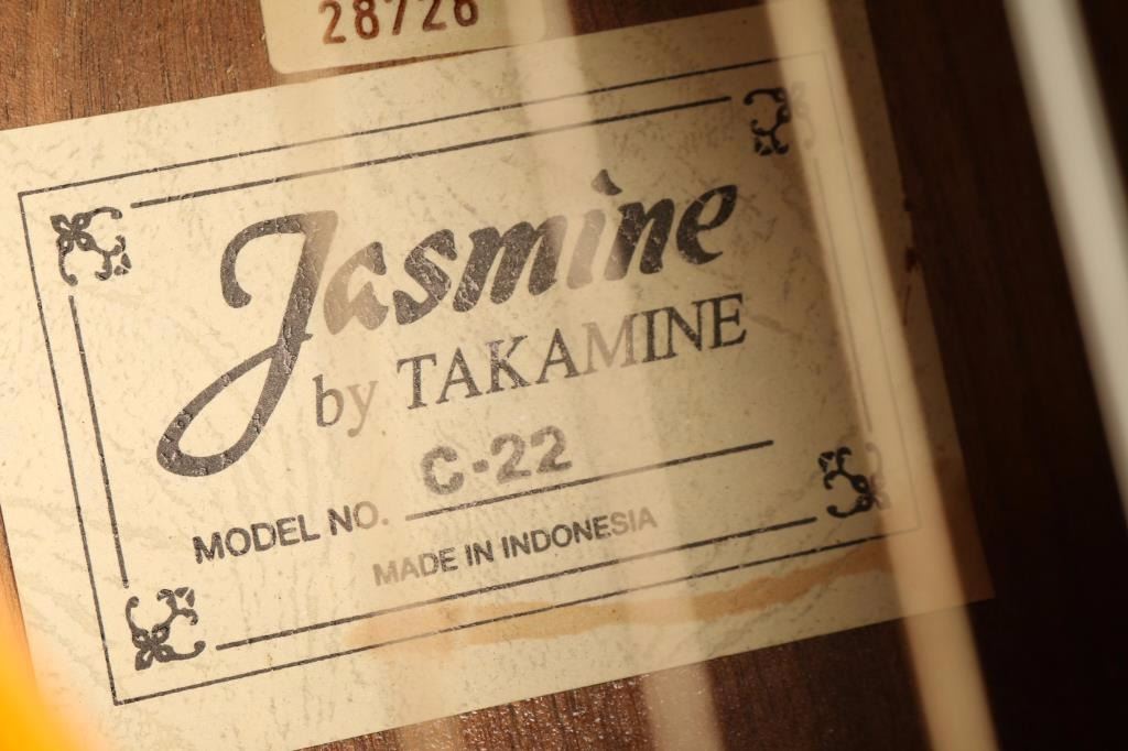 Signed Jasmine C 22 Acoustic Guitar