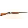 Image 1 : Remington 1100 16 Ga SN: 24298W