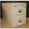 Image 2 : Fire King Fireproof Filing Cabinet