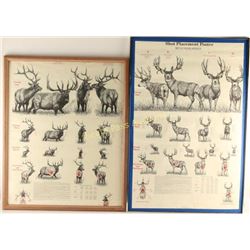 Lot of 3 Shooting Posters