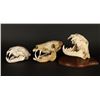 Image 1 : Lot of 3 Animal Skulls