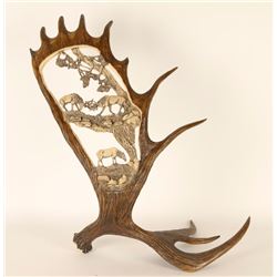 Beautiful Moose Antler Decorator