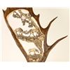 Image 2 : Beautiful Moose Antler Decorator