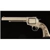 Image 2 : Ruger New Model Super Blackhawk Hunter .44