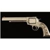 Image 3 : Ruger New Model Super Blackhawk Hunter .44