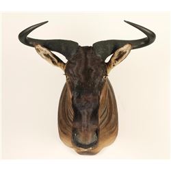 African Wildebeest Mount