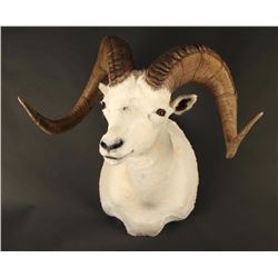 Dahl Ram Mount