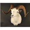 Image 1 : Dahl Ram Mount