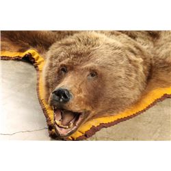 Brown Bear Rug