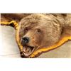 Image 1 : Brown Bear Rug