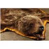 Image 4 : Brown Bear Rug