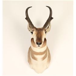 Antelope Mount