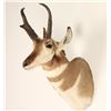 Image 2 : Antelope Mount