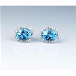 Dazzling Ladies Earrings