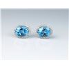 Image 2 : Dazzling Ladies Earrings