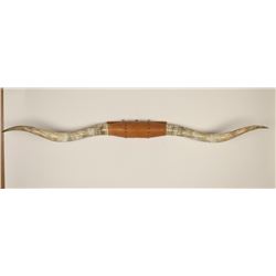 Large Set of Steer Horns