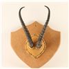 Image 1 : African Animal Horns on Board