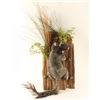 Image 1 : Full Mounted Squirrel