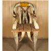 Image 2 : Antique Horn Chair