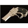 Image 3 : High Standard Derringer .22 Mag SN: 2464665
